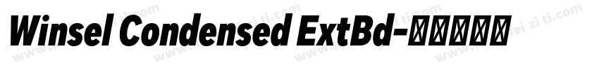 Winsel Condensed ExtBd字体转换